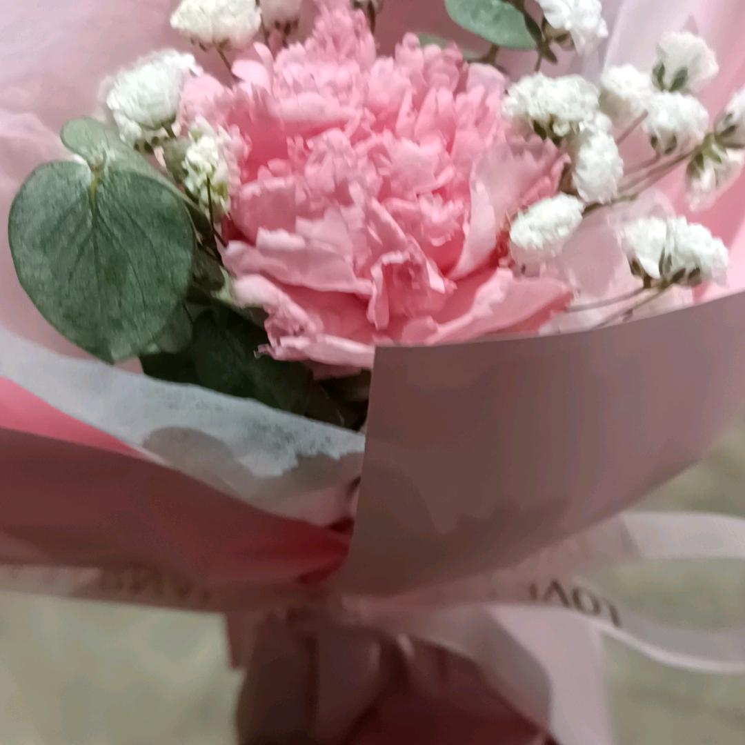 燕子