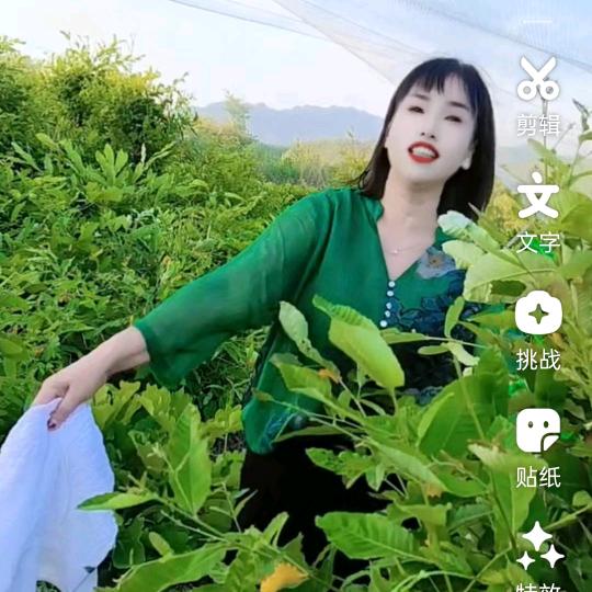 蚕蛹一姐（蚕乡行）