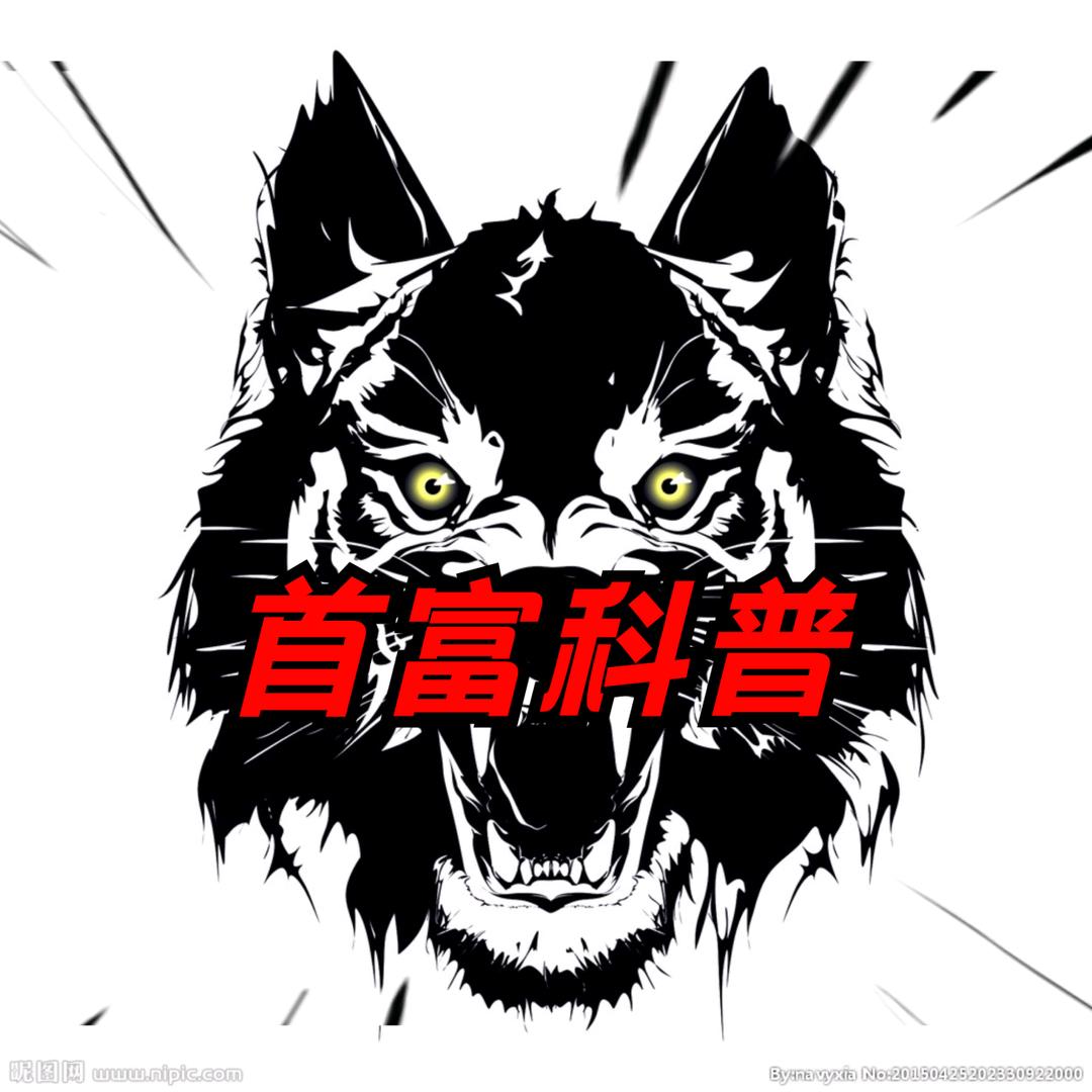 首富探店