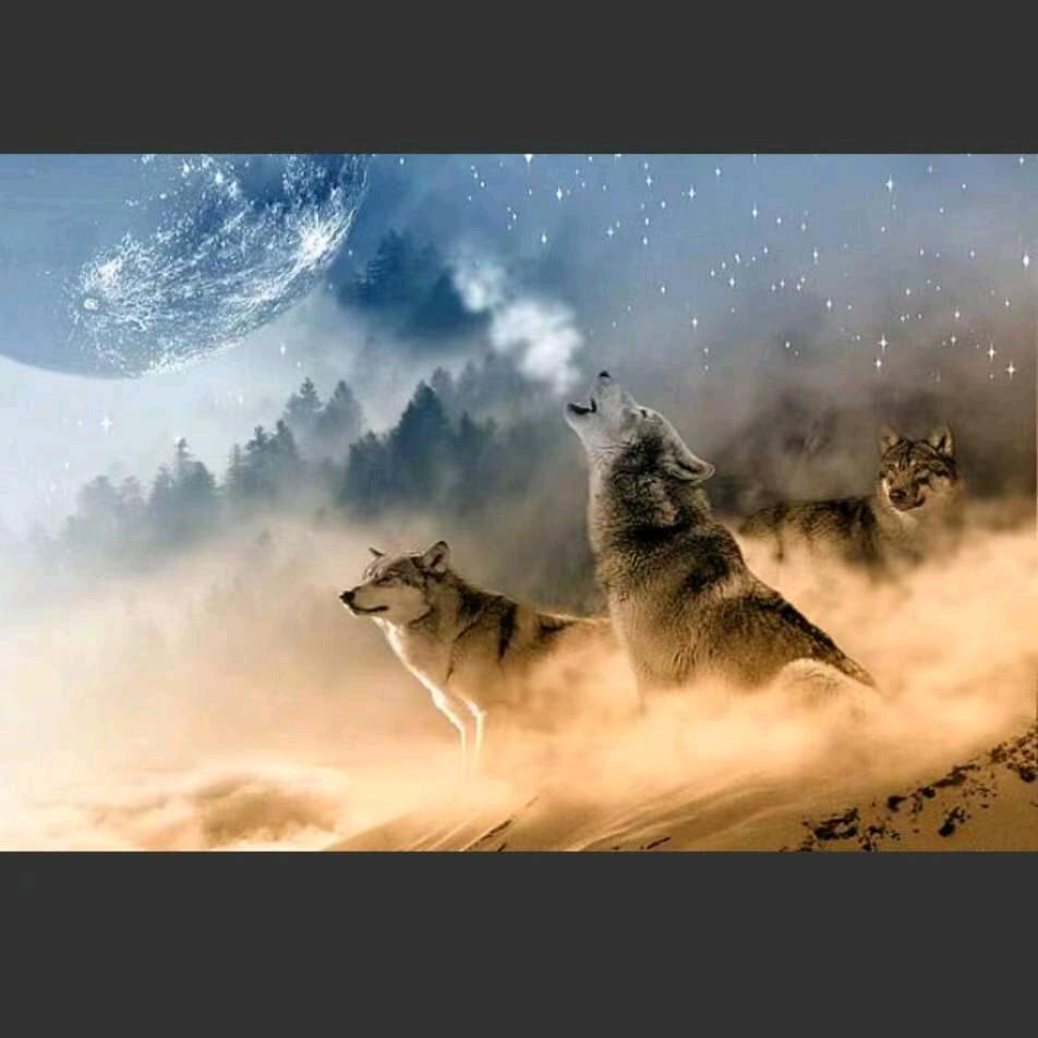 乘风破浪会有时