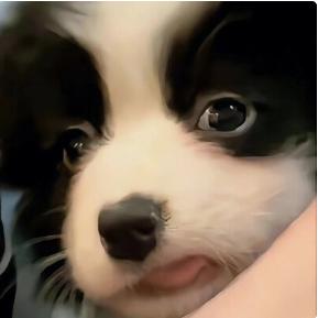 吃就吃好的