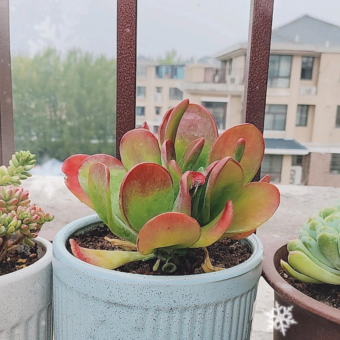 航灼科技优品严选