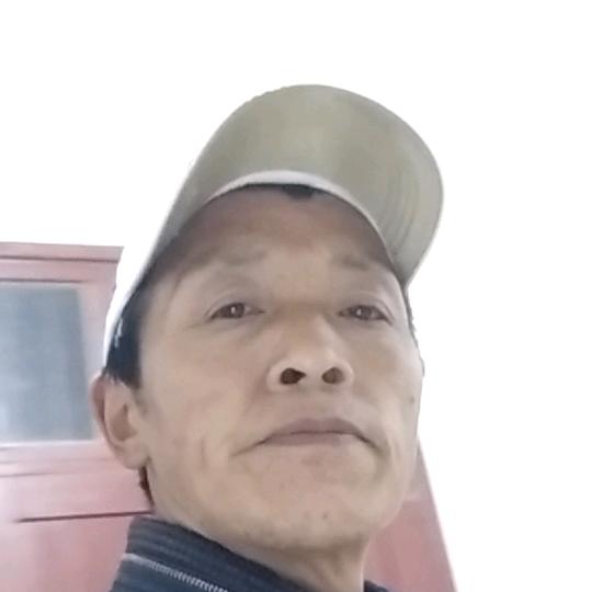 陈惠文