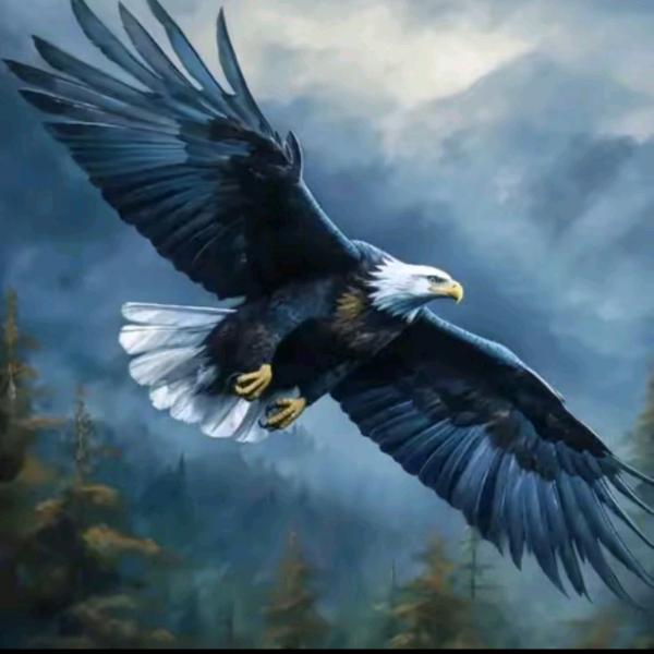 白天不懂夜的黑