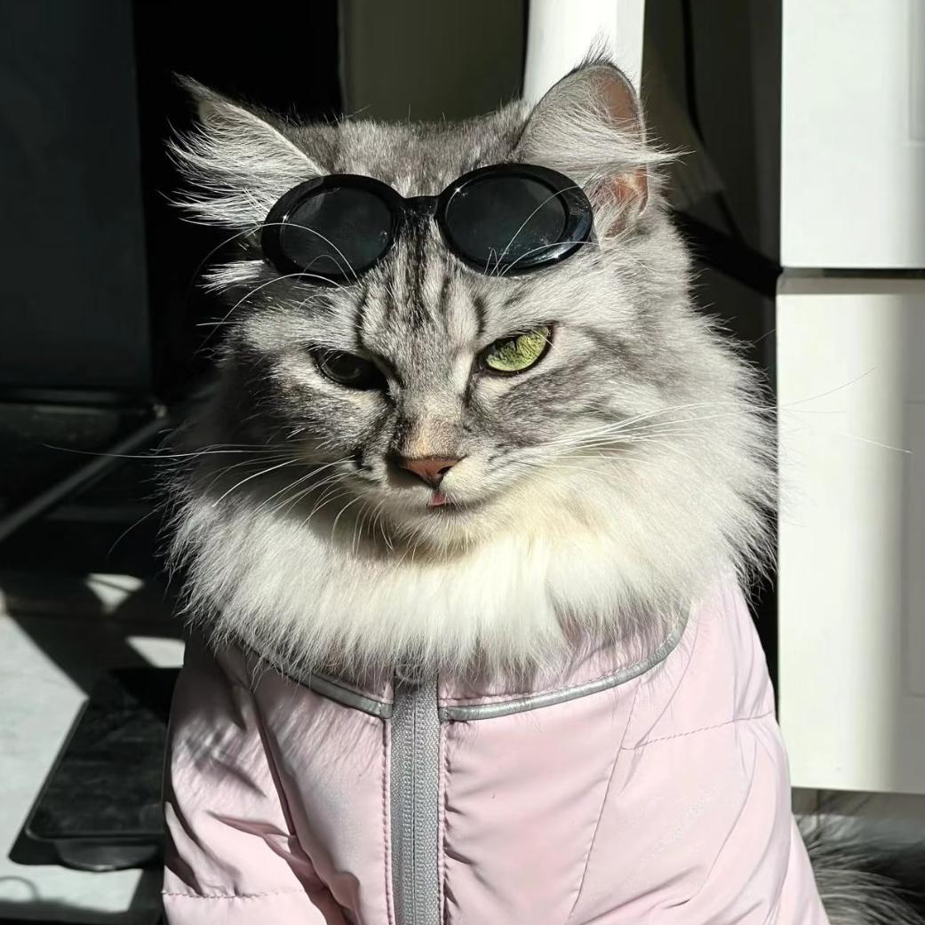 钰余子🎀⁰²²⁰