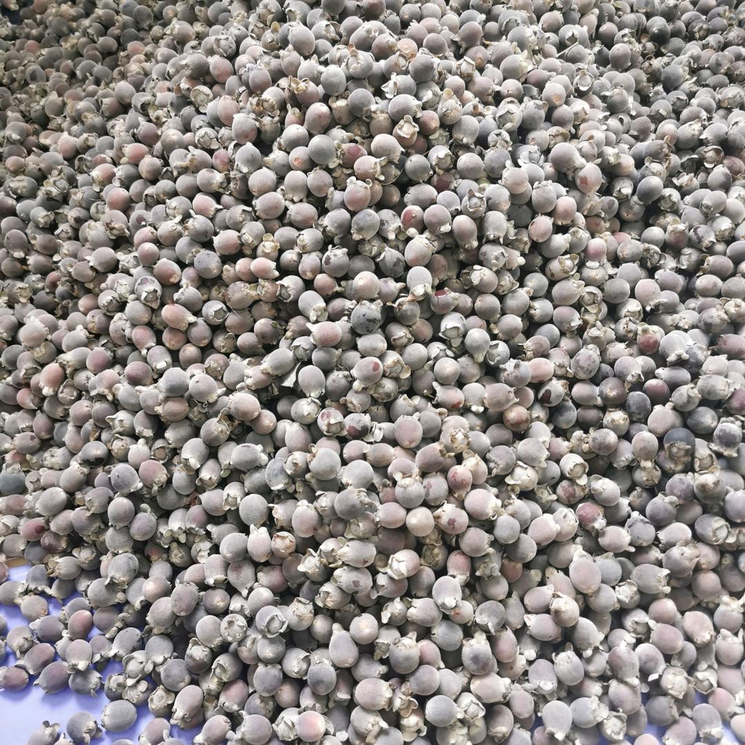 笑看风云二电子商务工作室