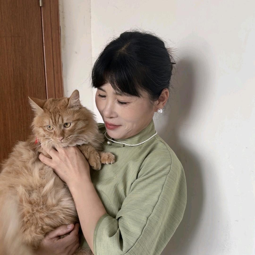 土豆