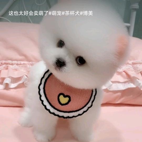 冰冰有你