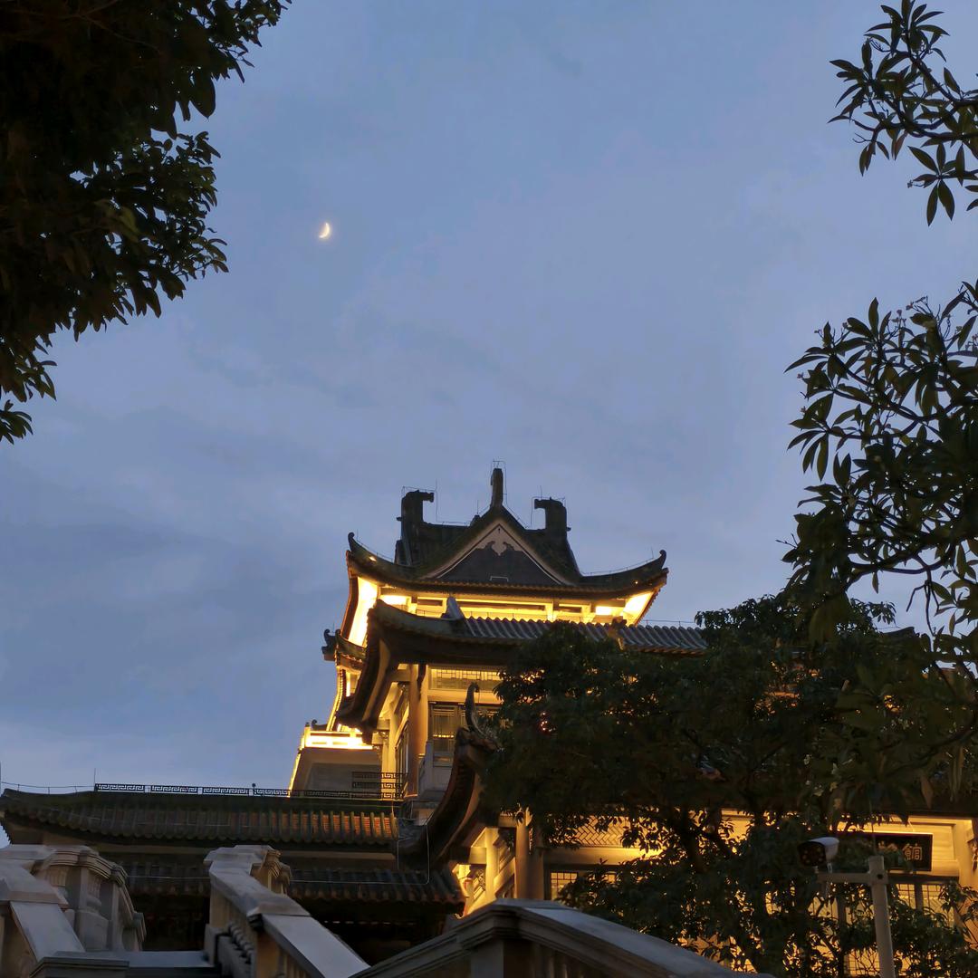 雏田