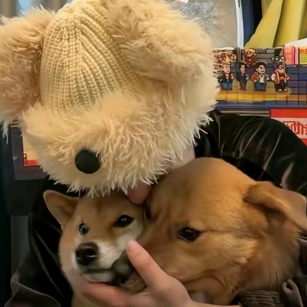 能迟不早到（见过十勤版）