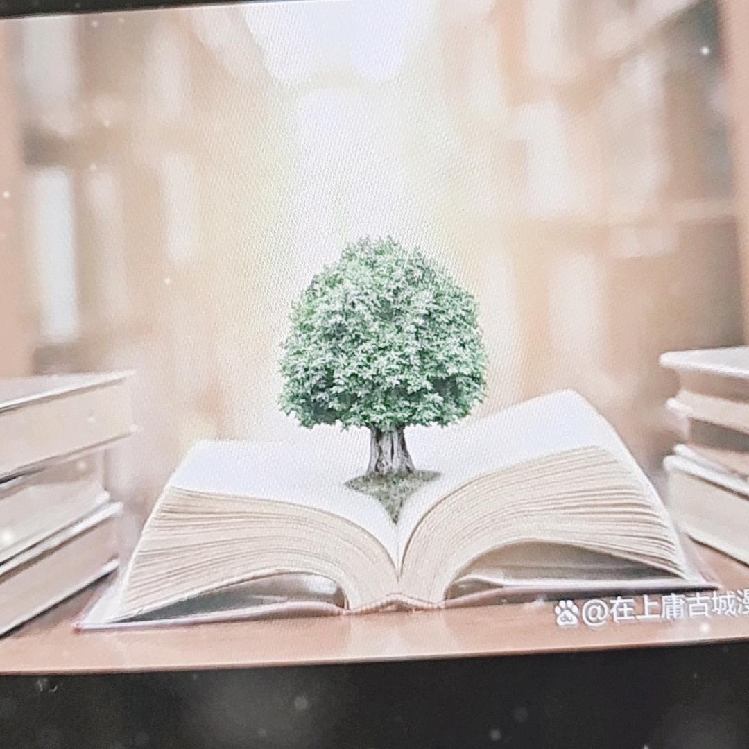 书中自在
