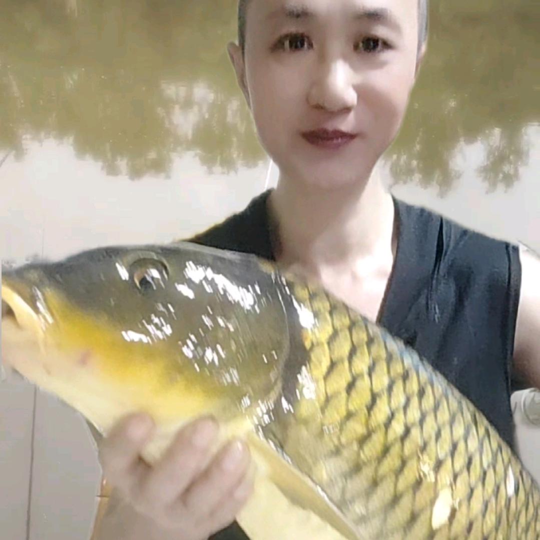 🌈冰糖   户外