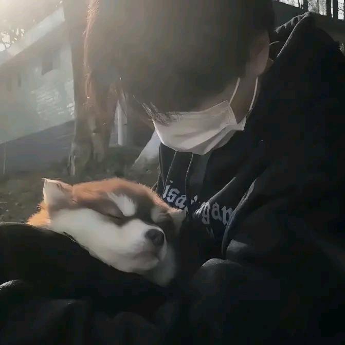 十二小时不够睡