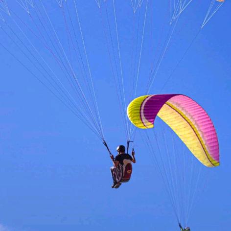 hy乐乐（有关必回）