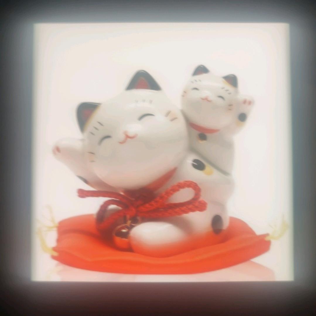用户6009648556642