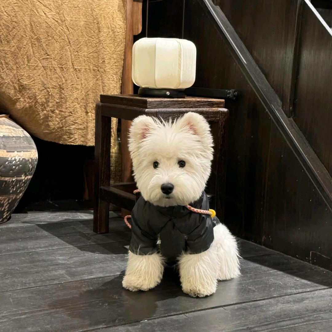 余乐