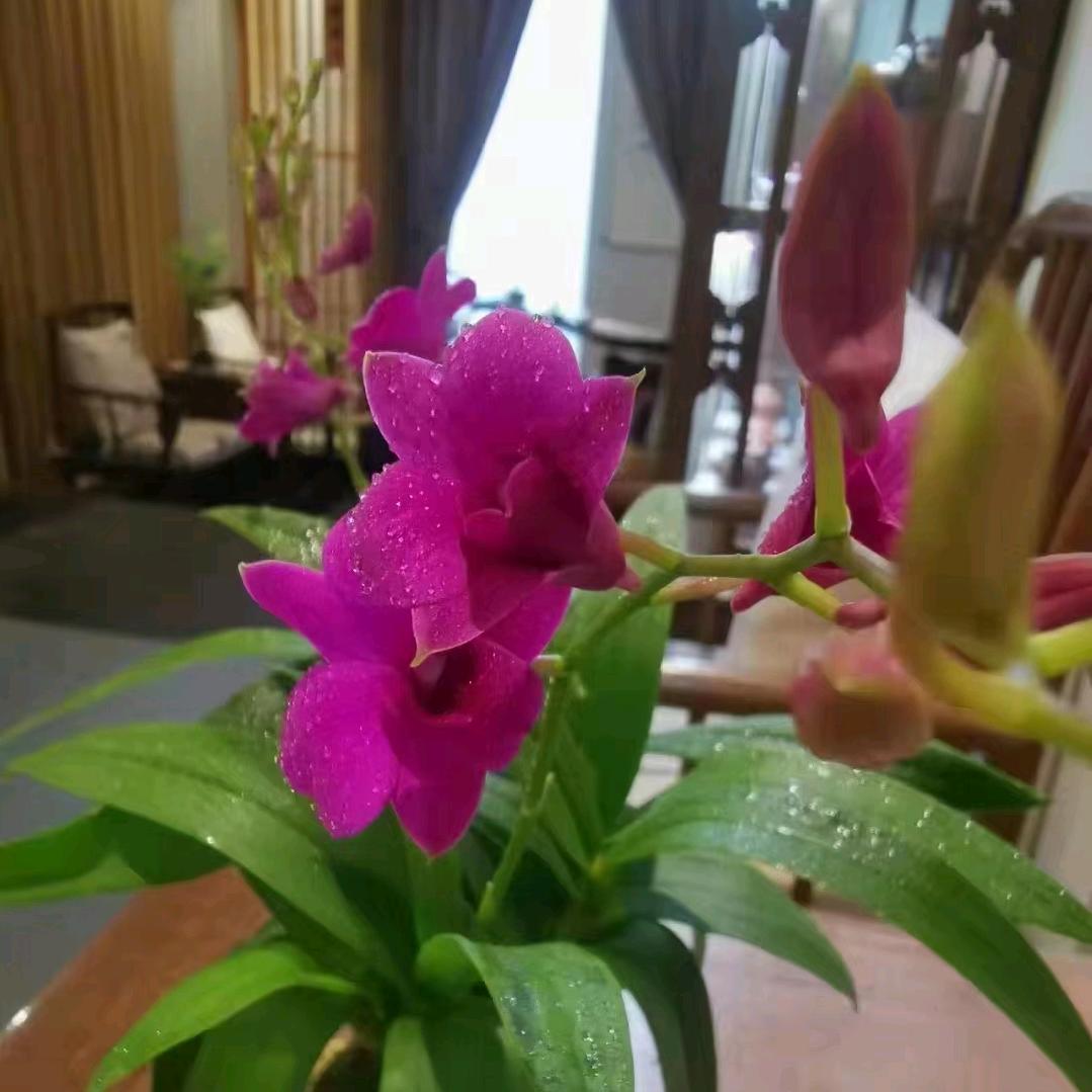 南欣阁成都润富国际店