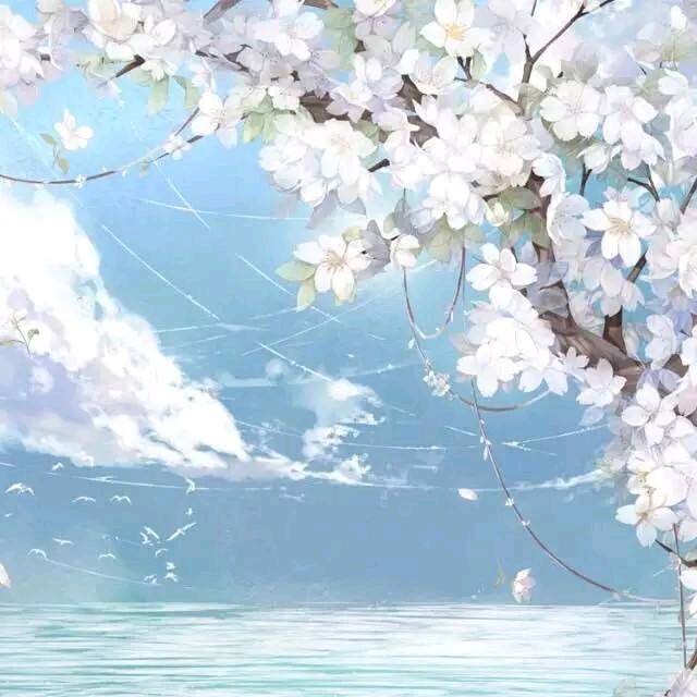 坤坤打捞
