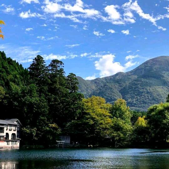 再见就是陌生人