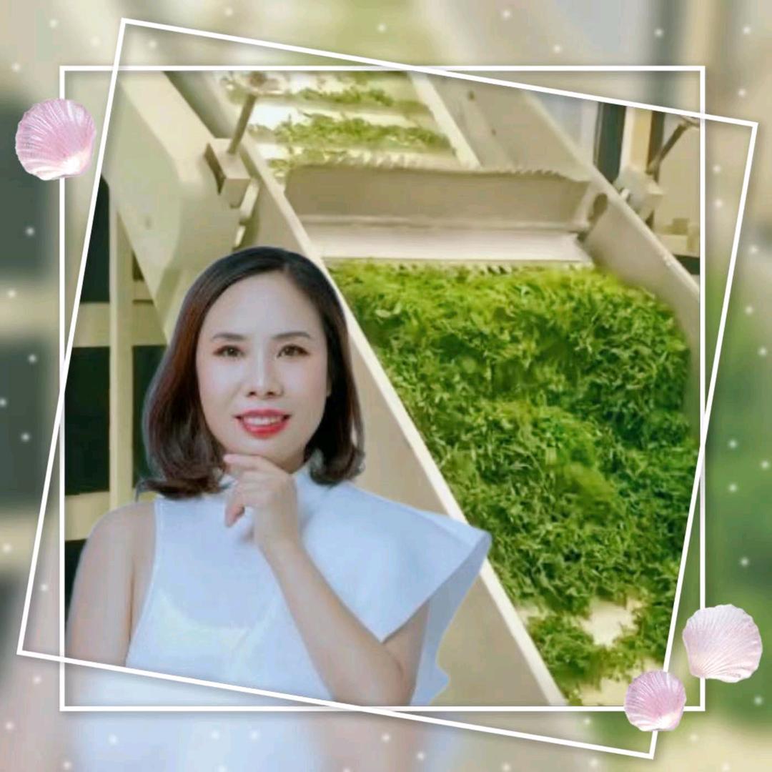 小妹姐
