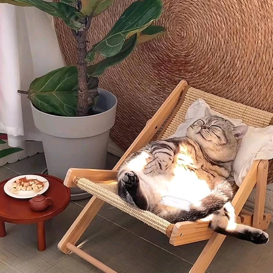 ✨静心头像