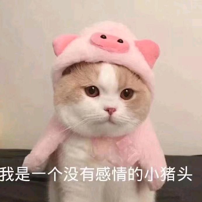 凋落