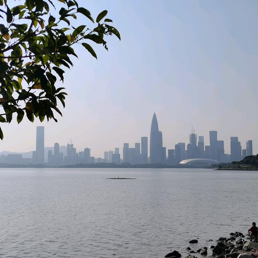 小柠檬