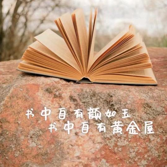 ღ᭄幸福ꦿ꯭菇凉꧔ꦿ᭄