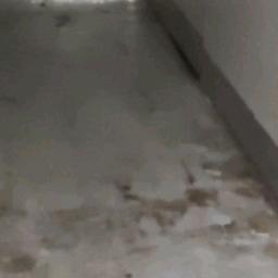 非我顷城