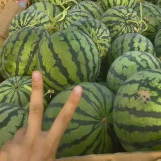 幸福快乐每一天