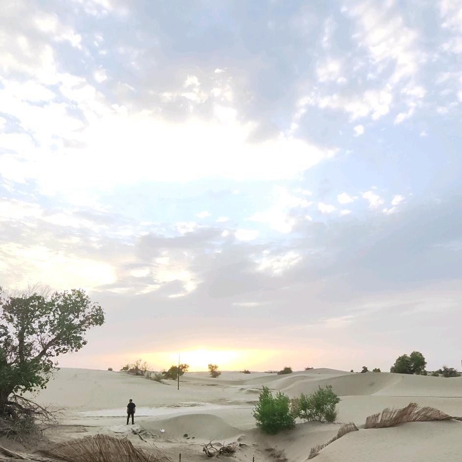 大表哥🧍‍♂️