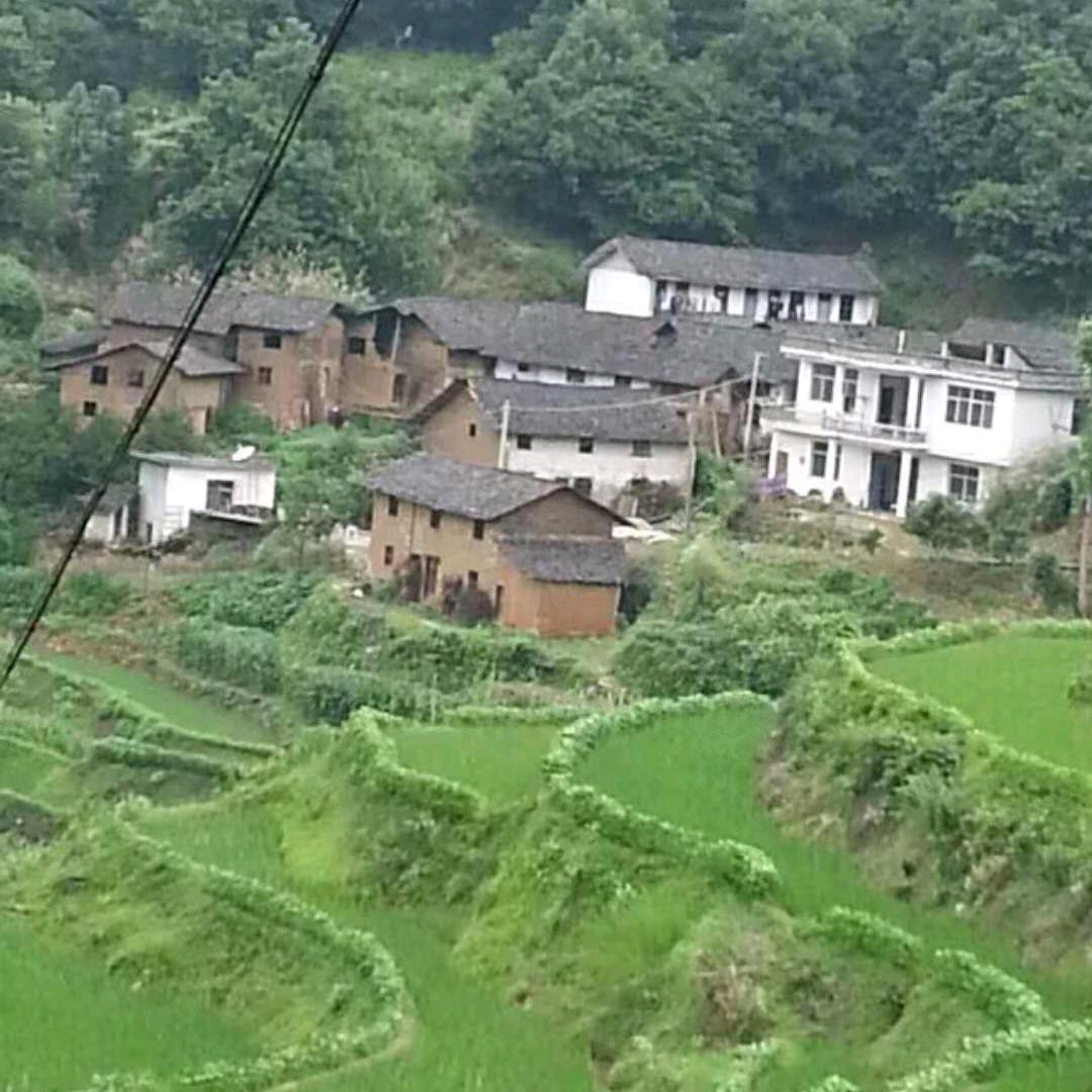 愿望成真