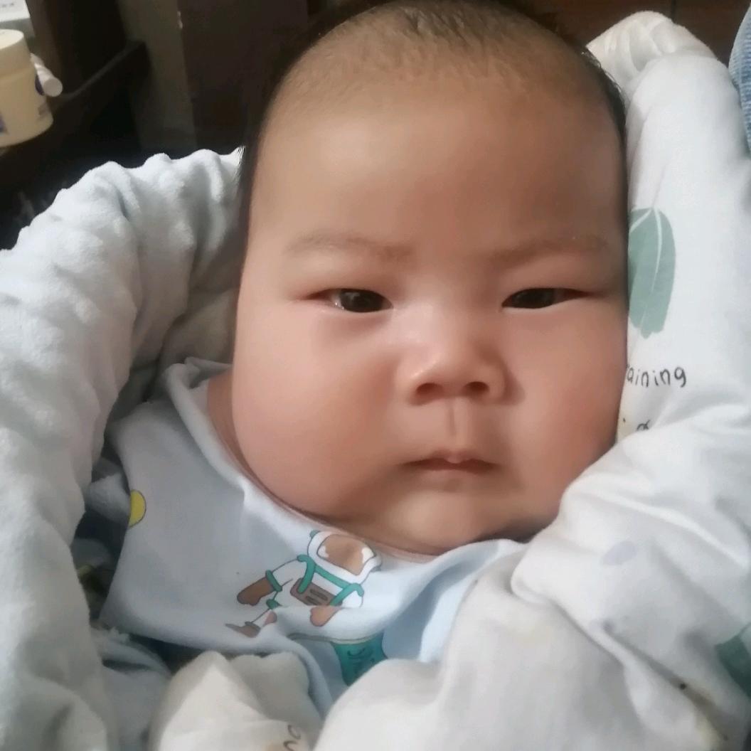 社旗陌陂蝎子养殖苑庄