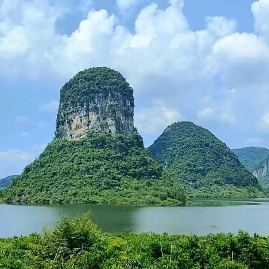 寻真结