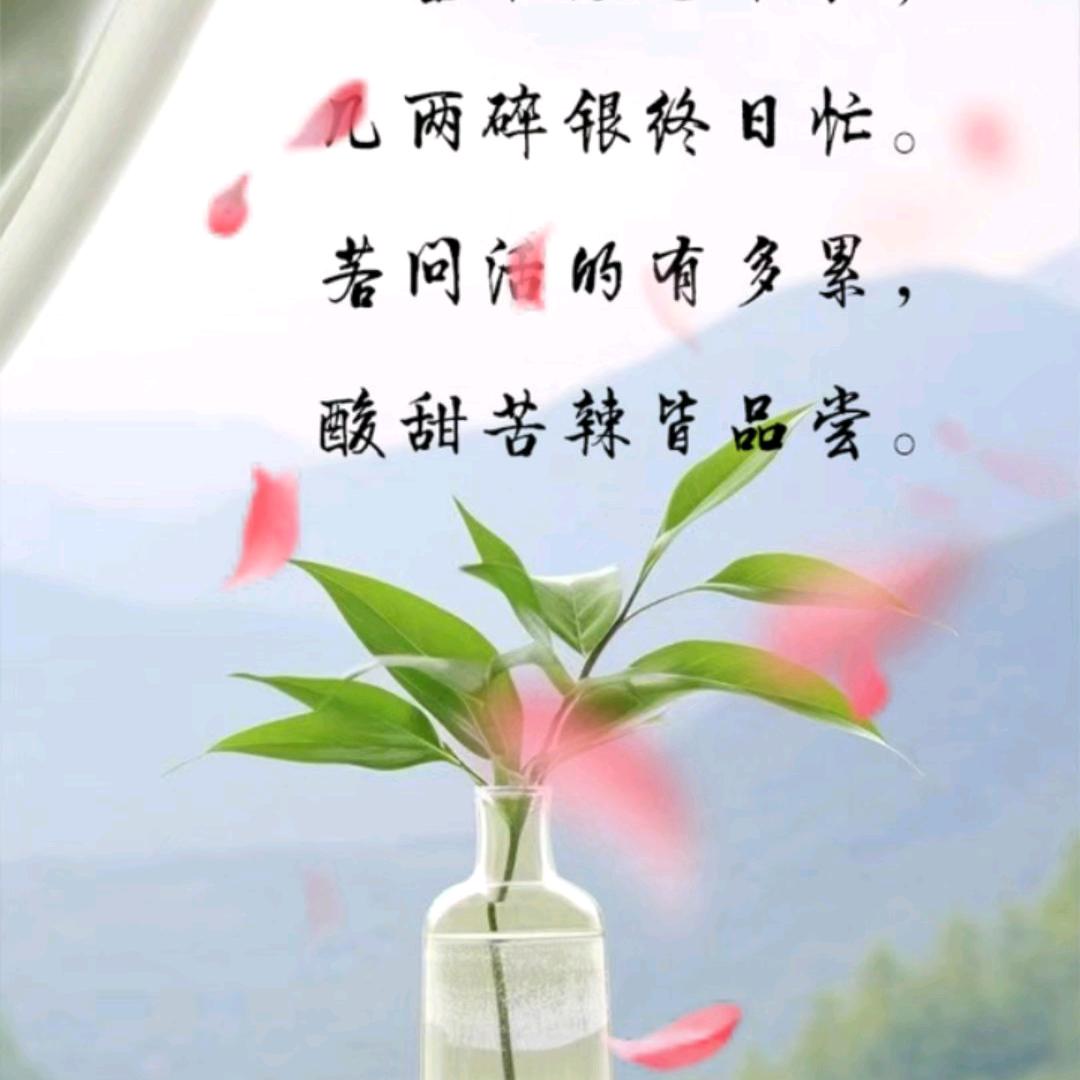 人生如过客