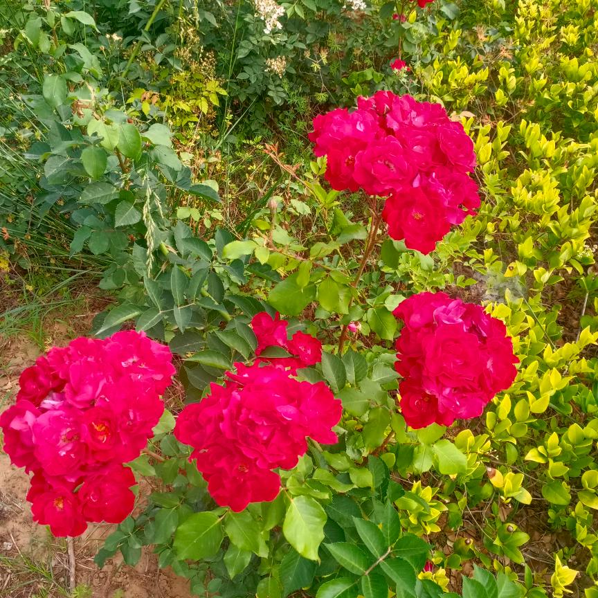 我还是我！记得微笑😊😊😊😊