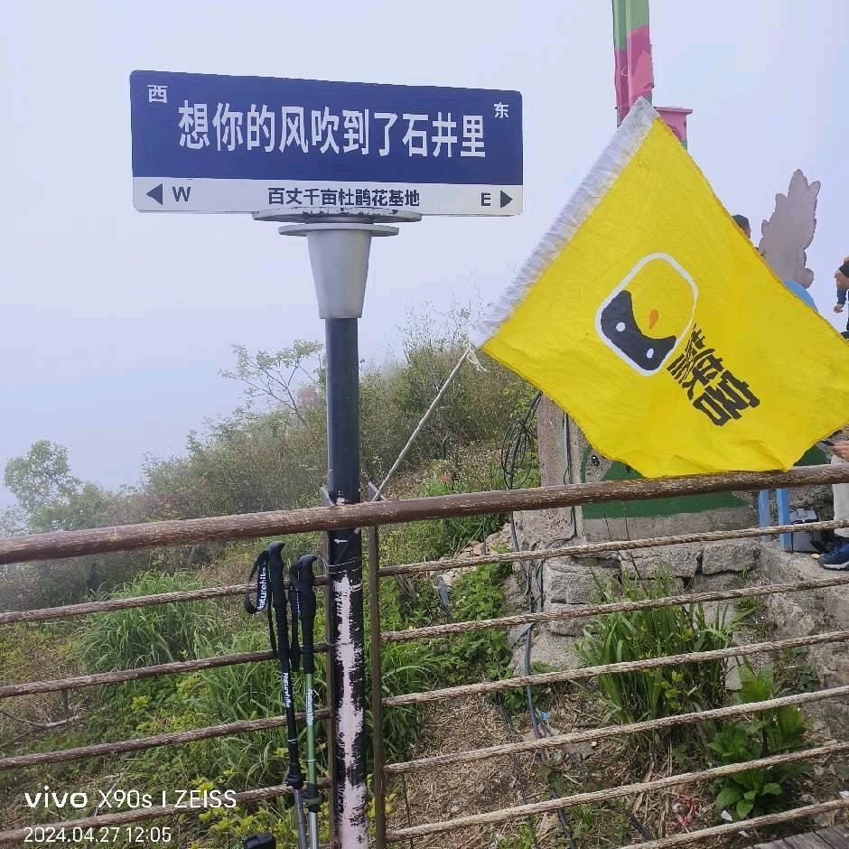 东丶一世繁华 乱谁浮生