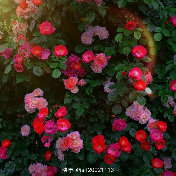 @明天会更好