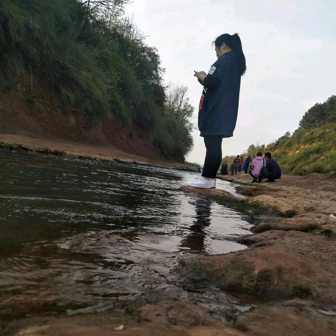 玉兰