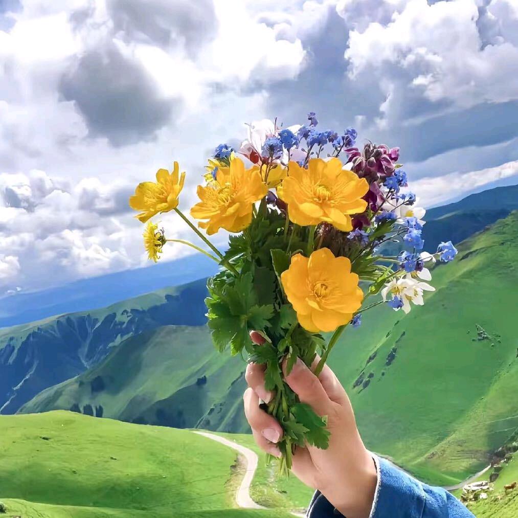 一生只爱你一次