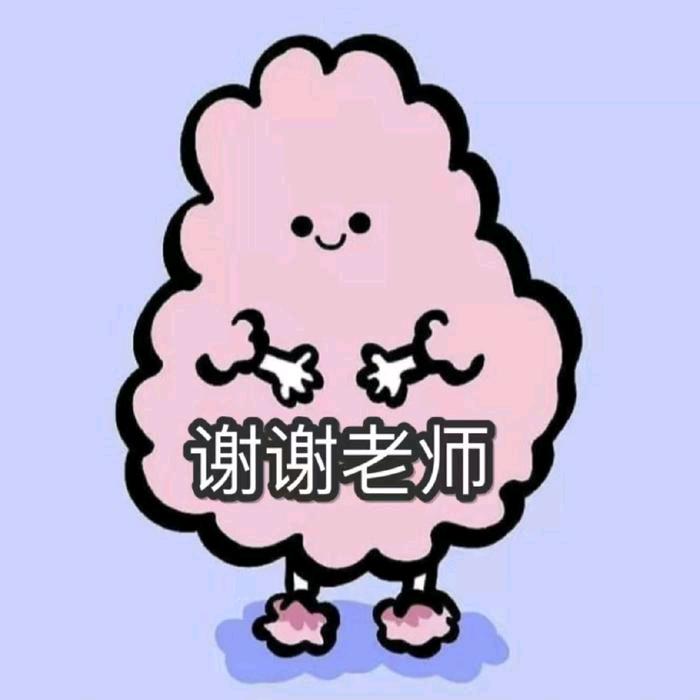 马智齐