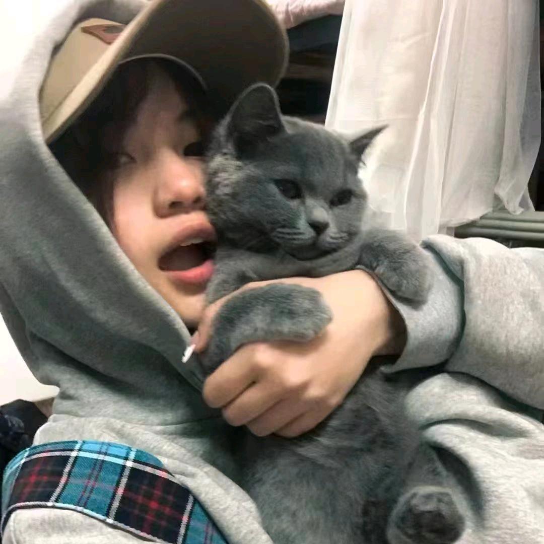 게자리