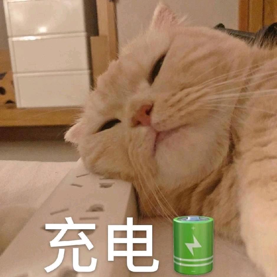 wwww