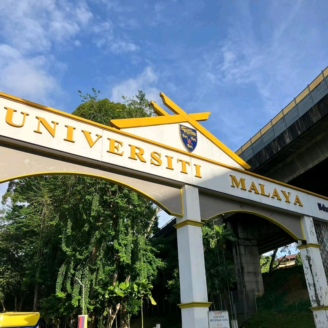 Leo留学顾问