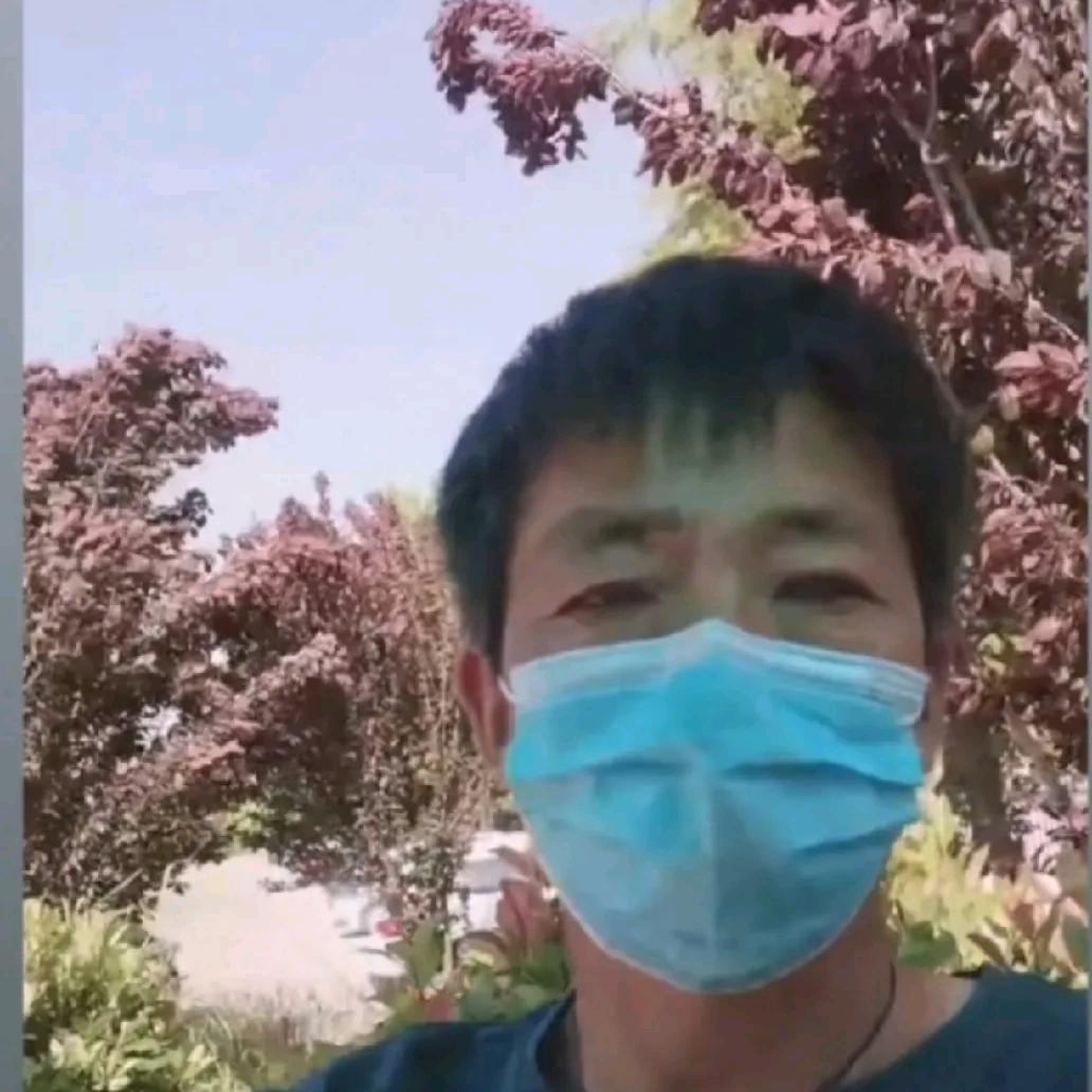 石高兴练字