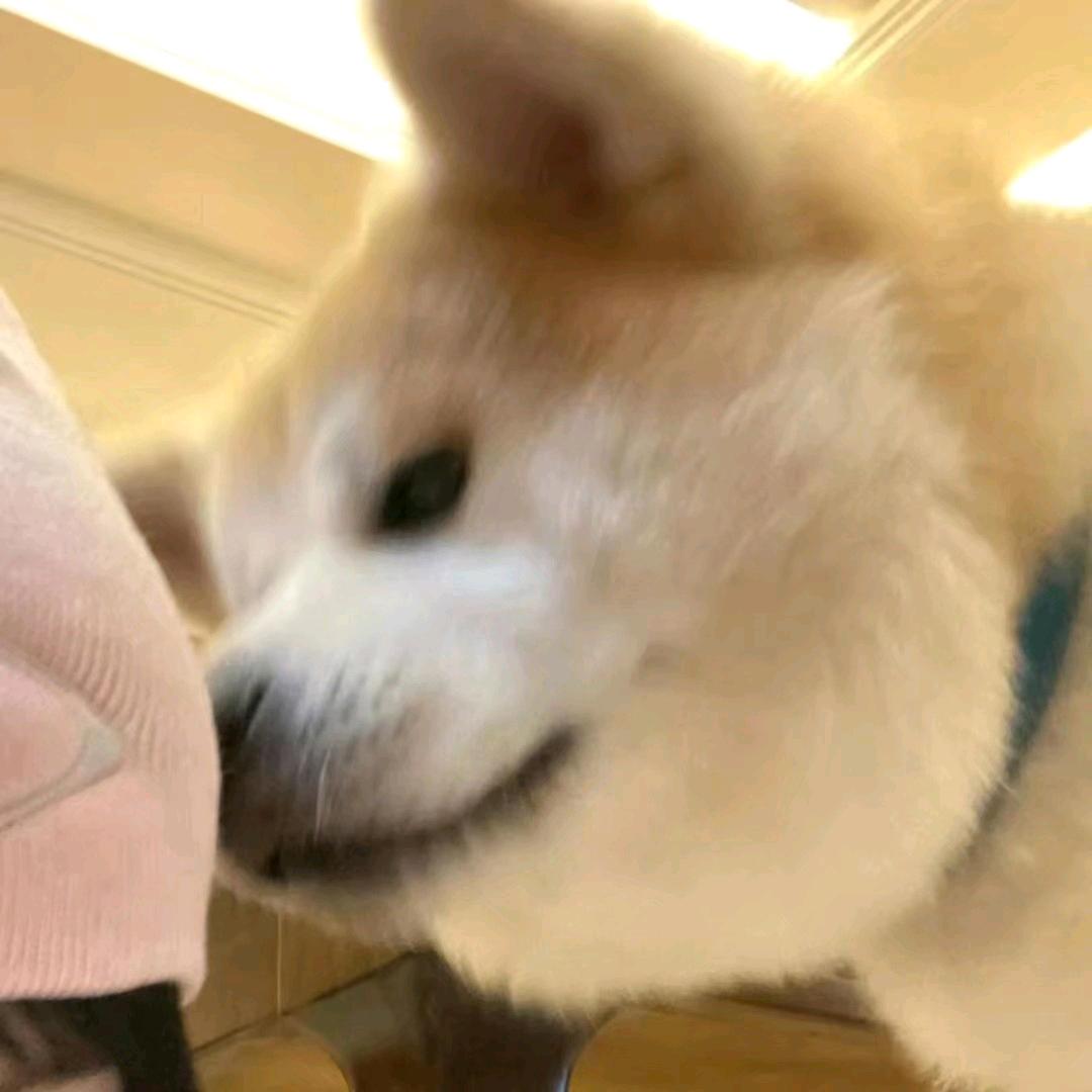 🍋不知名的学长