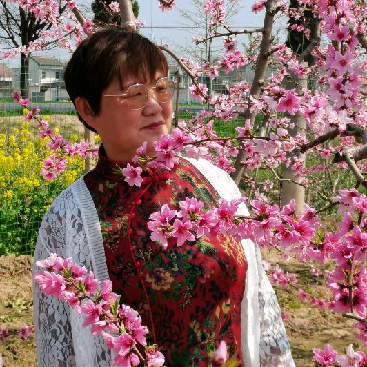 九月菊