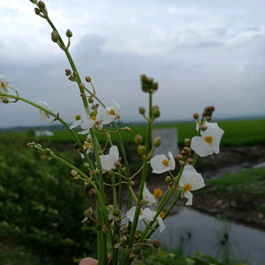点