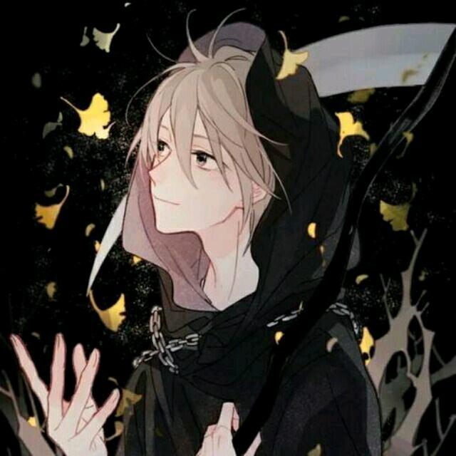 K。头像