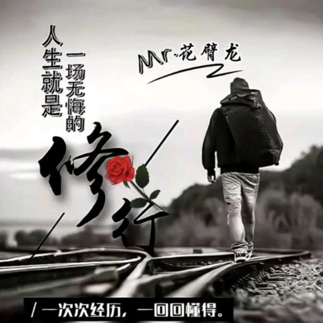 花臂龙ᝰ